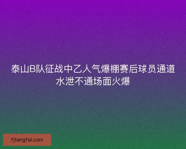 泰山B队征战中乙人气爆棚赛后球员通道水泄不通场面火爆