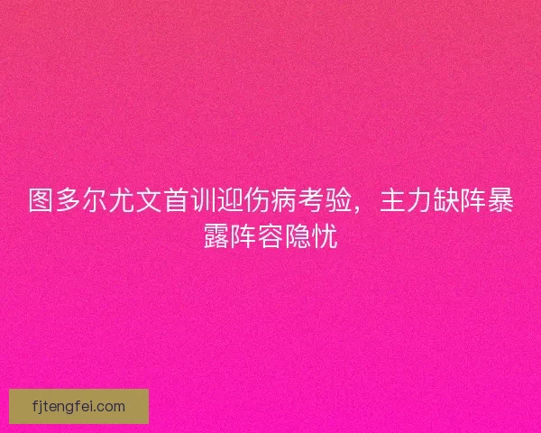 图多尔尤文首训迎伤病考验，主力缺阵暴露阵容隐忧